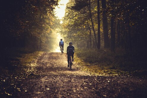 Pista ciclabile immersa nel verde lungo un fiume