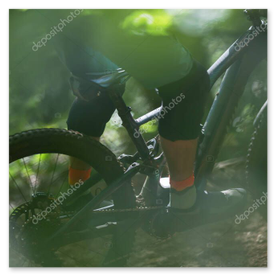 Sterrato scorrevole nel bosco