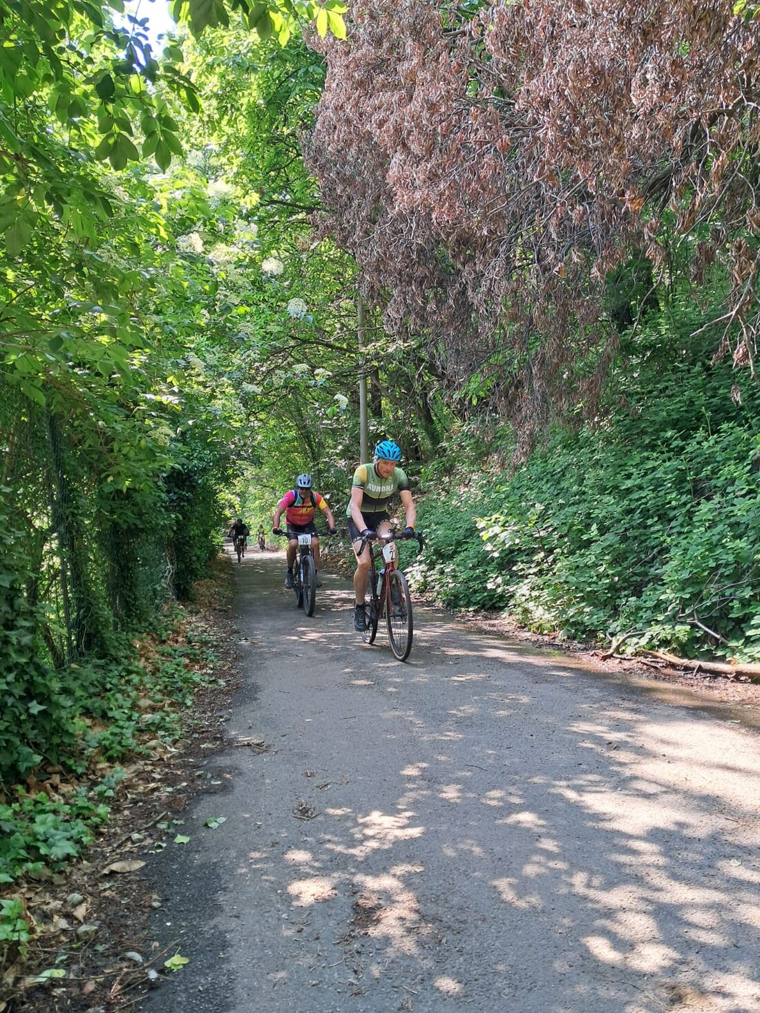 Ciclista gravel su sentiero boschivo in avventura